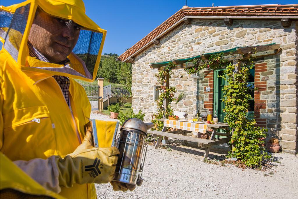 Agriturismo La Coccinella Valfabbrica Eksteriør billede