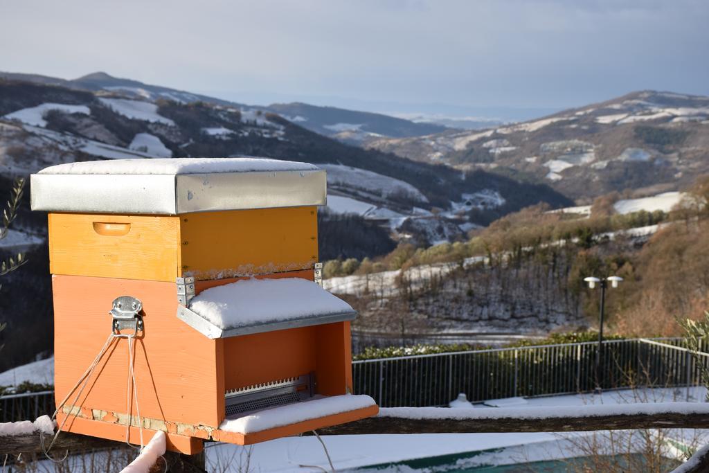 Agriturismo La Coccinella Valfabbrica Eksteriør billede